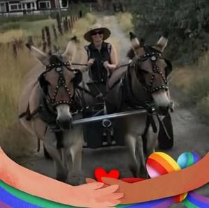 Meet your Posher, Tracy